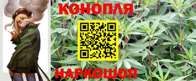 амф Дубна