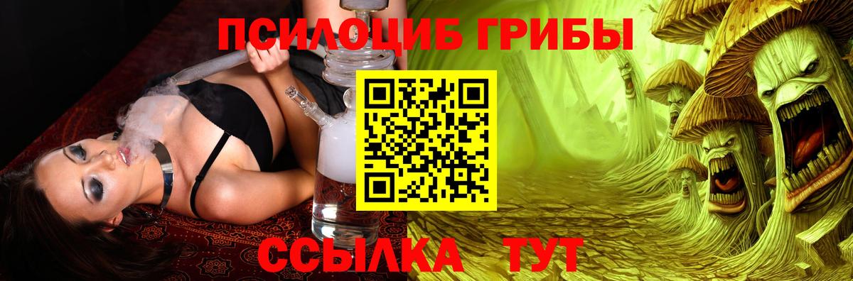 Казань  Галлюциногенные грибы Cubensis  Вход с VPN 